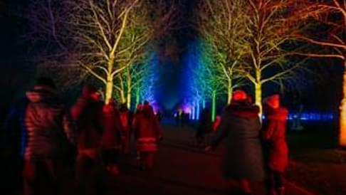 Arboretum Illuminated